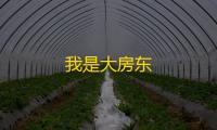 我是大房东